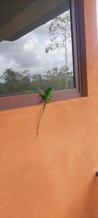 Green Leaf House La Fortuna 외부 사진